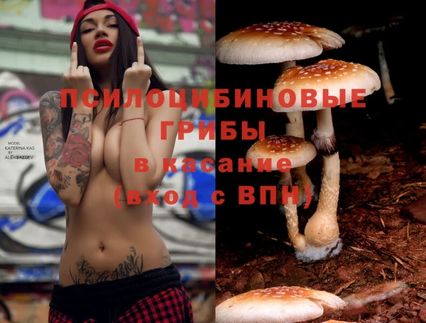 MESCALINE Абинск