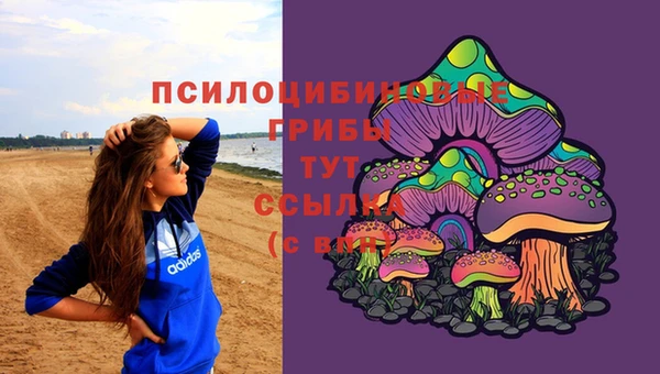 мяу мяу мука Алзамай