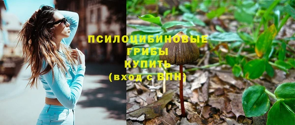 мяу мяу мука Алзамай