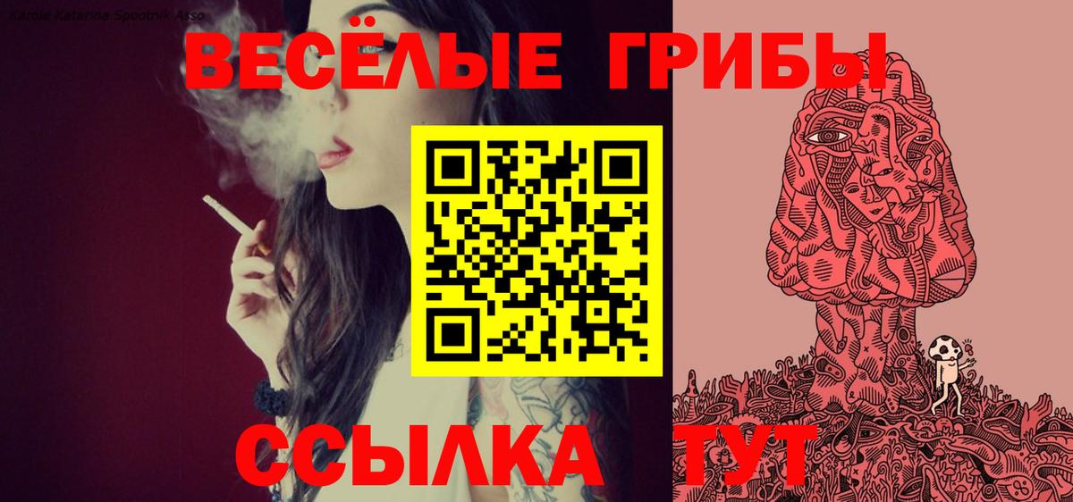Галлюциногенные грибы Cubensis  Вход с VPN  Удомля  Псилоцибиновые грибы Psilocybe 