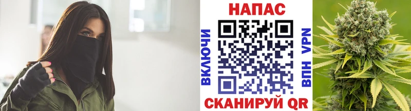 Бошки Шишки SATIVA & INDICA  хочу наркоту  Удомля 